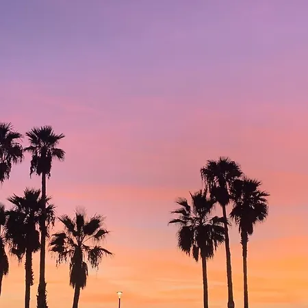 Le Palme Alojamento de Acomodação e Pequeno-almoço 4*