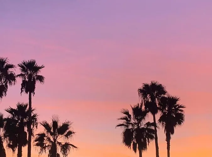 Le Palme Alojamento de Acomodação e Pequeno-almoço 4*